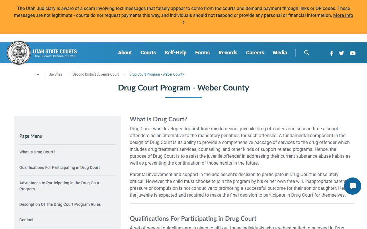 Weber County juvenile drug court program related to traffic court records